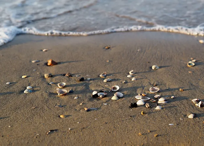 Functional Flat In A Fantastic With Pool * Bibione